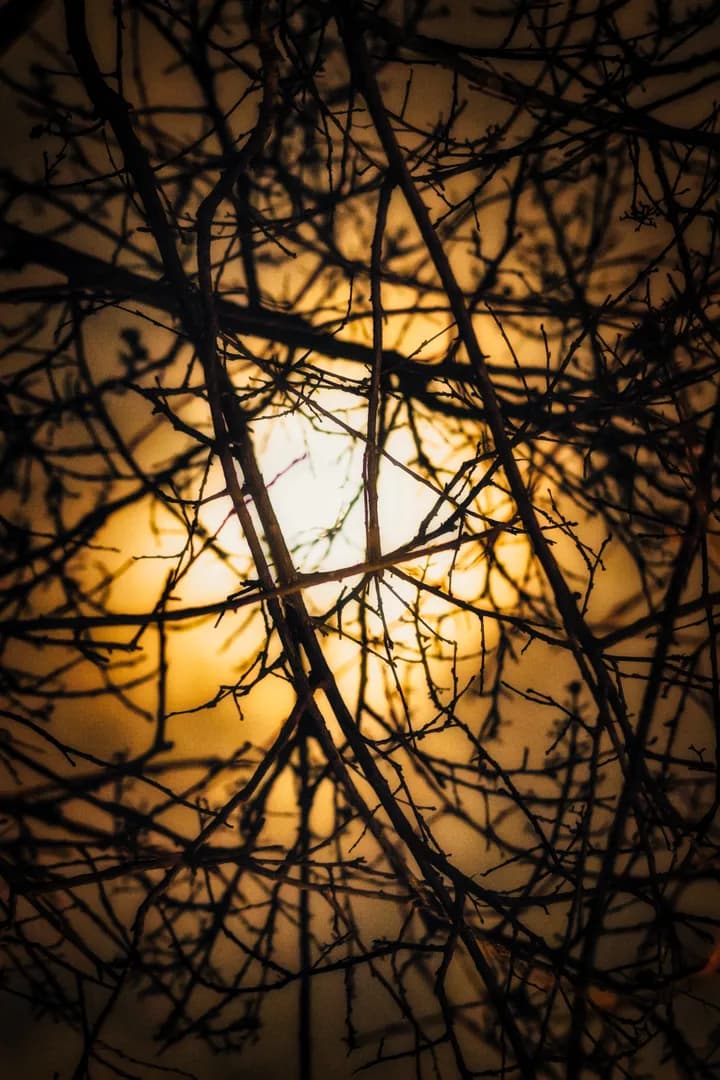 Path of Night