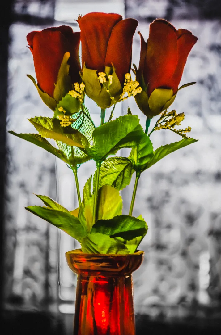 HDR Photography