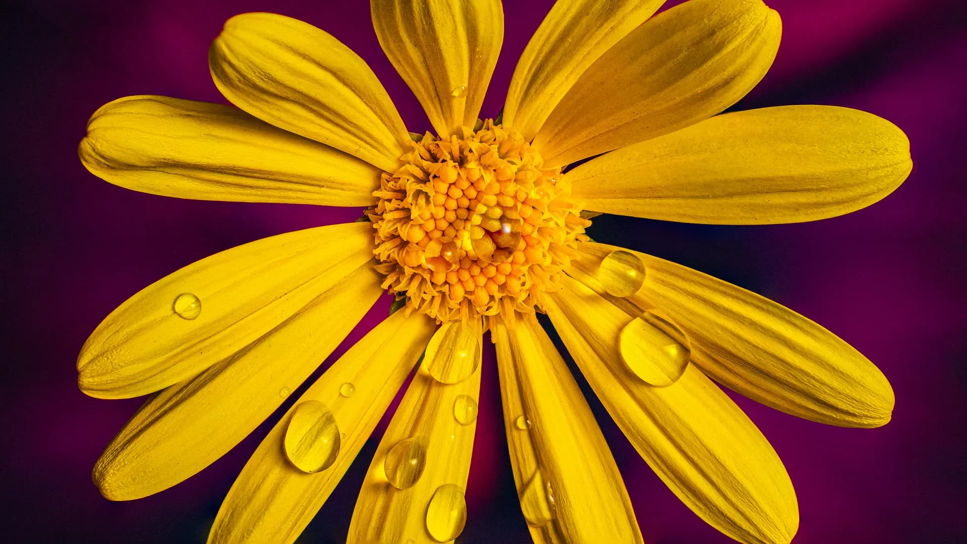 Edited Nature Shot